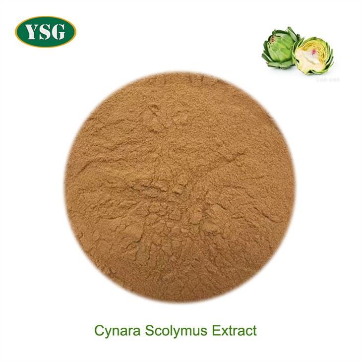 Extrait de Cynara Scolymus
